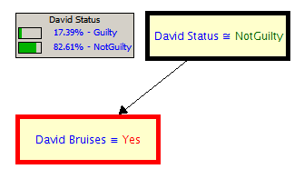 David Bain Bayesian Network Bruises