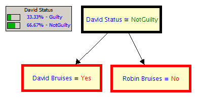 David Bain Bayesian Network Robin Bruises